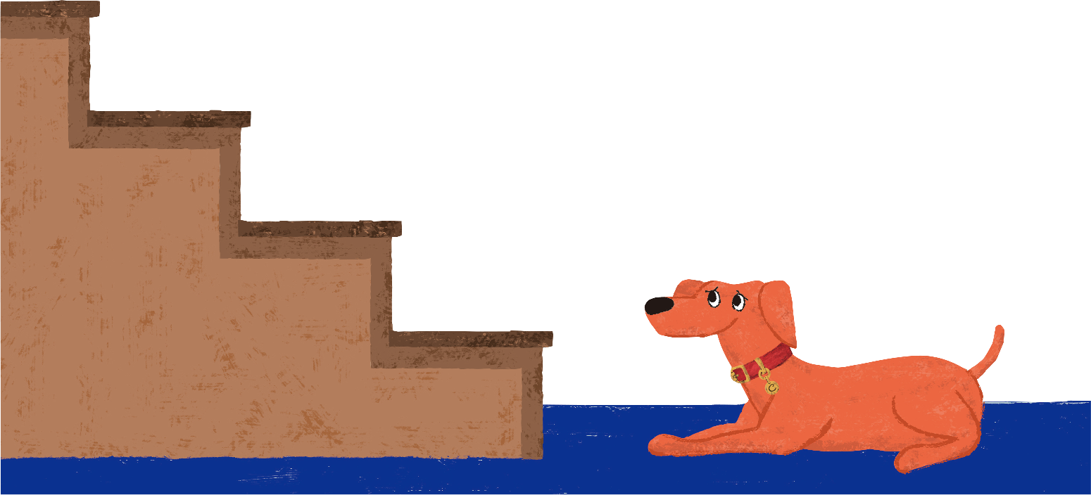 チャーリーと階段