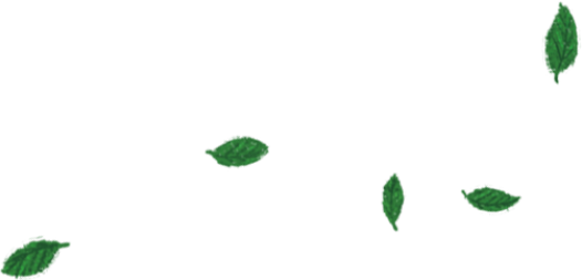 葉っぱ2